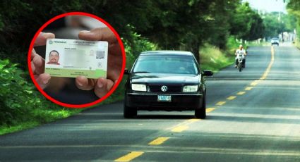 Licencia de conducir permanente GRATIS, requisitos y dónde tramitarla