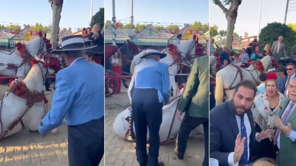 Tras una larga jornada de Feria de Sevilla, en la que los caballos llevan horas trasportando a personas sin descanso, un animal cayó exhausto y por lo menos dos sujetos lo patean para hacer que se levantara