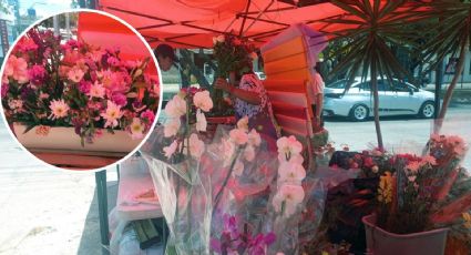 Bueno, bonito y barato: aquí puedes conseguir flores de última hora en León