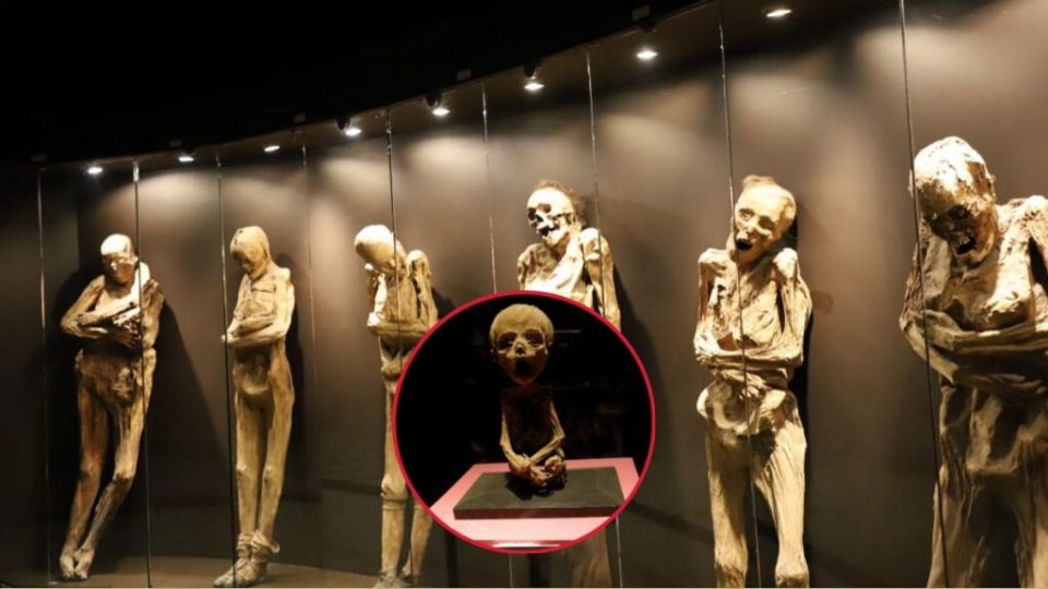 El INAH postergó un profundo estudio que elaboraba sobre los cuerpos momificados.