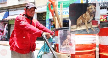 “Tango”, el perrito barrendero de Pachuca que se deprimió hasta la muerte
