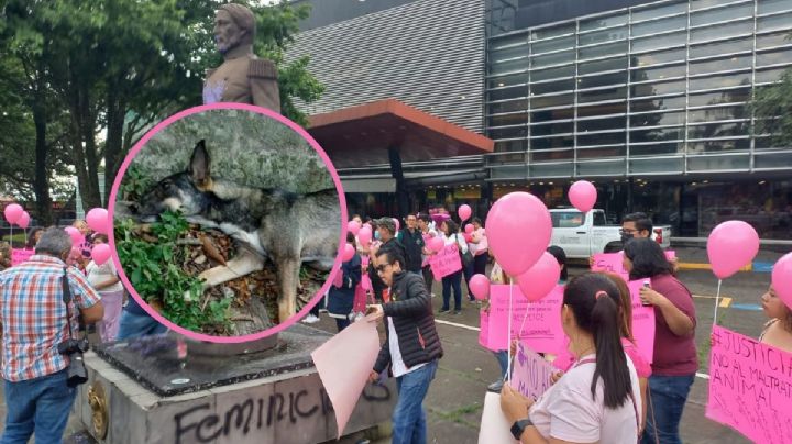Marchan y exigen justicia por Sol, perrita atropellada en Xalapa