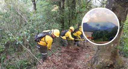 Siguen activos los incendios forestales en las Altas Montañas de Veracruz; suman 3