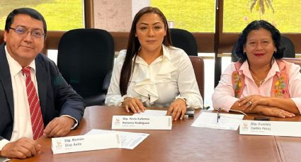 Comisión especial respalda la regularización de predios escolares en Veracruz
