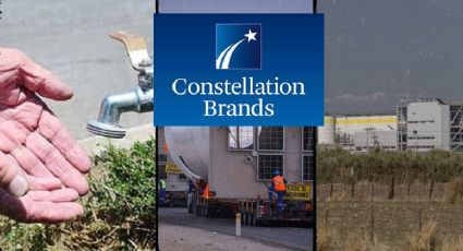 Estas son las promesas de Constellation Brands por planta en Veracruz