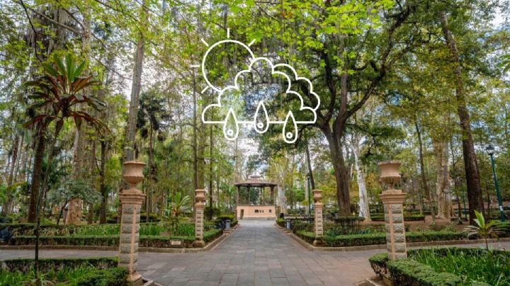 Surada: Así estará el clima en Xalapa este sábado 3 de febrero, antes del nuevo frente frío