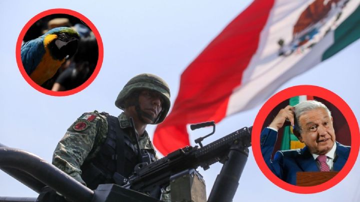 AMLO utiliza estrategias de la "guerra contra el narco" de Calderón: Guacamaya Leaks