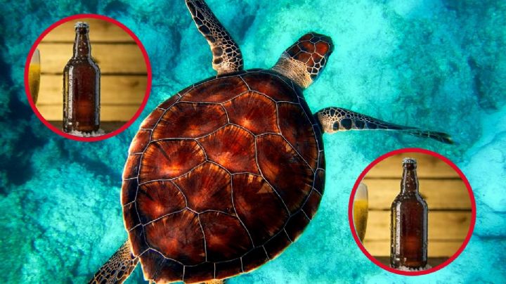 ¿Por qué los mexicanos le decimos caguama a la cerveza?