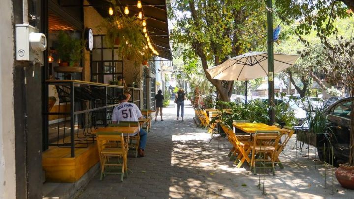 En vez de hacer conciertos, garantizaremos iluminación y seguridad: Sandra Cuevas