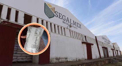 Segalmex: rapiña por 400 millones de pesos, así fue la trama de 2 empresas