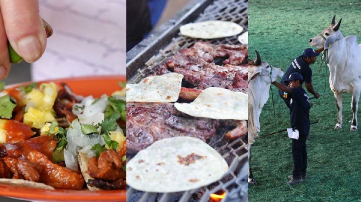 Veracruz es el principal productor de carne de res en México