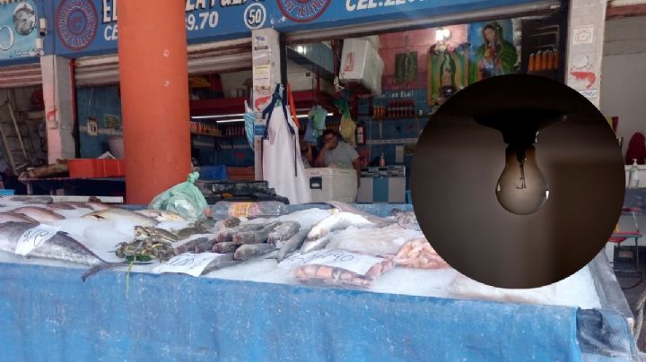 Para conservar producto, locatarios de Pescadería compran más hielo por apagones