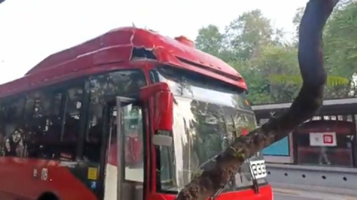 Accidente en la Línea 2 del Metrobús deja 5 lesionados