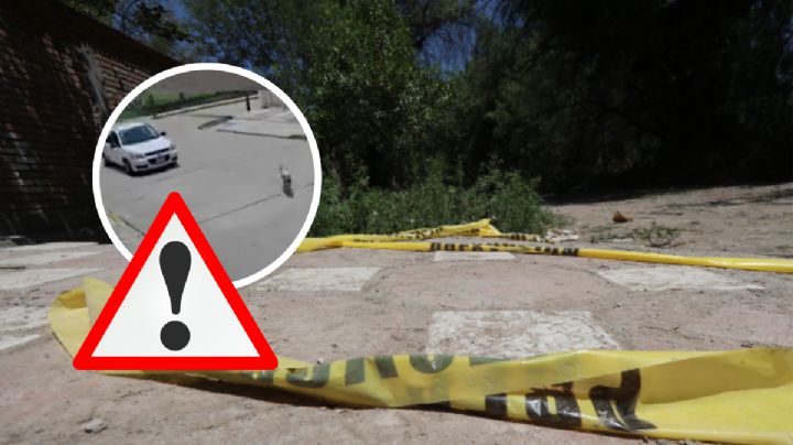 Mujer atropella a lomito en calle de Poza Rica y se da a la fuga