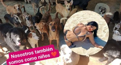 Karely Ruiz dona 25,000 mil pesos a refugio de animales en Xalapa