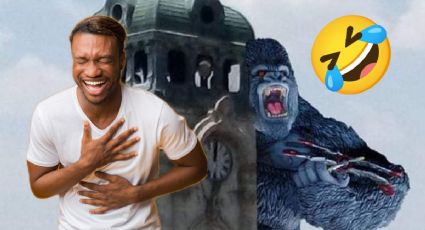 Gorila extraviado en Hidalgo desata los MEMES en las redes sociales