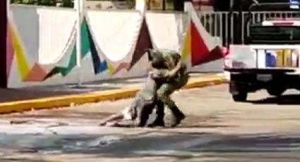 VIDEO | Abejas atacan a hombre en situación de calle; militar le salva la vida