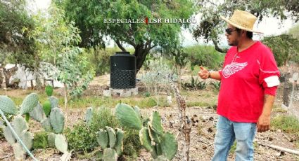 Permacultura, una esperanza en Hidalgo para crear asentamientos humanos sostenibles