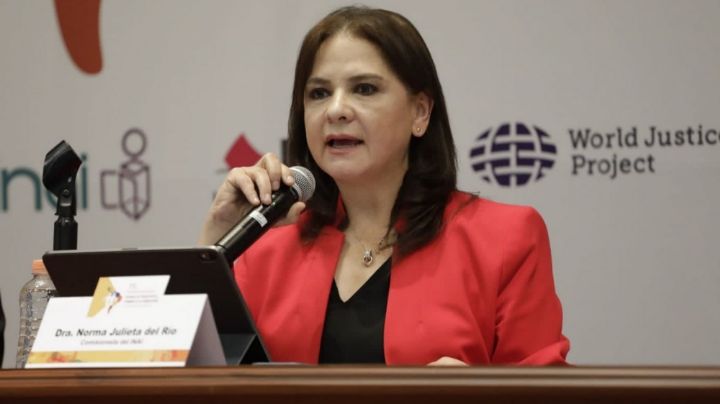 A pesar de parálisis, INAI lanza buscador temático de género: Del Río Venegas