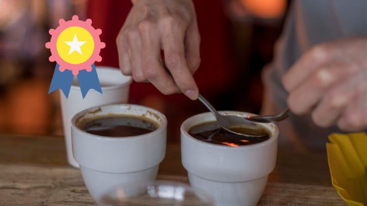 Competirán en certamen 5 muestras de café de especialidad de Córdoba