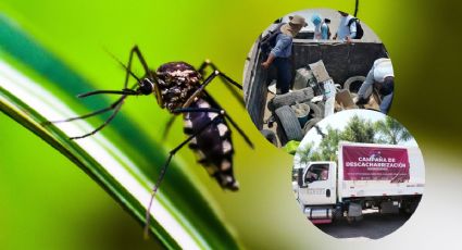 Contra el dengue: inicia descacharrización en Emiliano Zapata, Veracruz