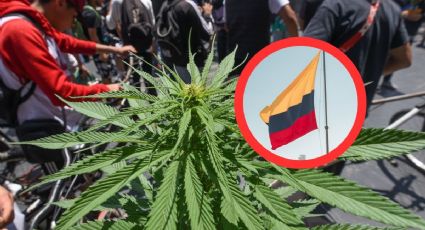 Uso recreativo de la marihuana: Colombia se debate entre el sí y el no