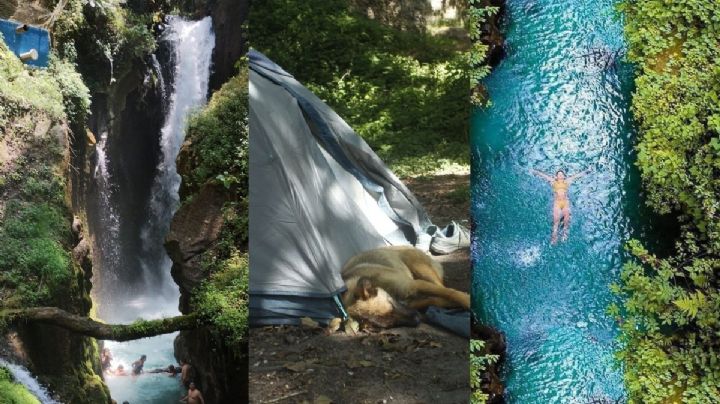 Pancho Poza, el paraíso a una hora de Xalapa. Qué hacer y cómo llegar