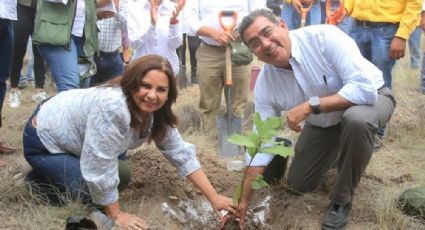 En parque “Flor del Bosque” arranca Puebla siembra de 9 millones de plantas