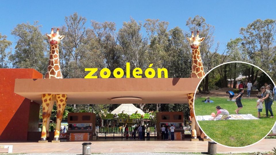 Los beneficiarios del programa podrán recorrer los diferentes hábitats del Zoológico de León.