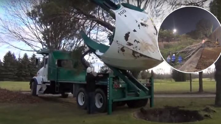 Esta es la máquina que debería comprar León para trasplantar árboles