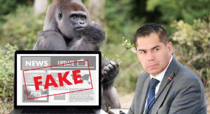 Al gorila lo buscaron hasta con drones... pero era noticia falsa: SSP
