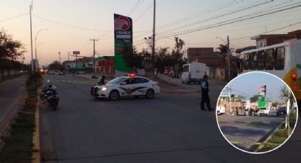 Hombre muere atropellado en el Timoteo Lozano, conductor huye en su vehículo