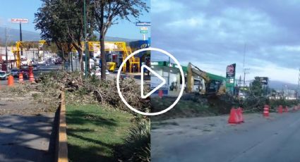 VIDEO: Talan árboles por obra de puente vehicular en Urban Center Xalapa
