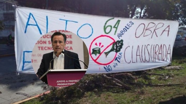 Cuitláhuac García defiende tala de árboles en Xalapa y dice que puente vial es necesario