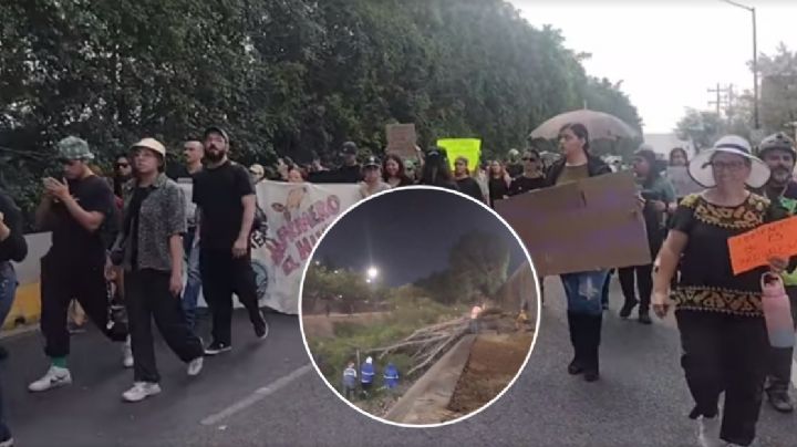 Protestan por tala de árboles en Malecón del Río