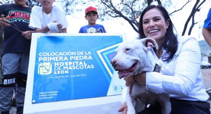 León tendrá el primer hospital de mascotas en todo México