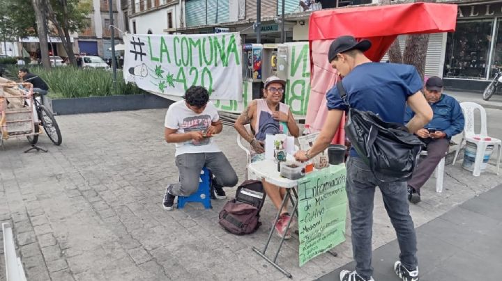 El nuevo espacio llamado 420 en CDMX pro marihuana