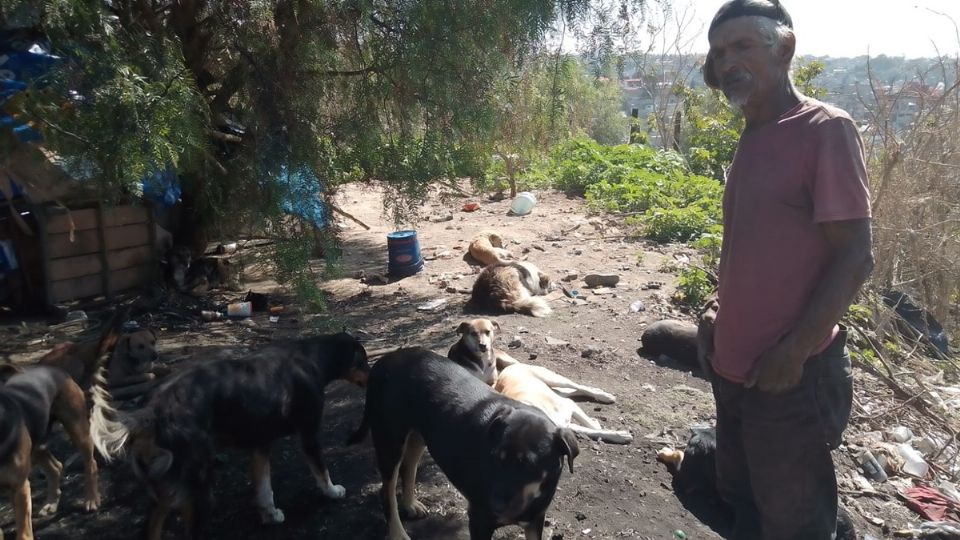Don Emilio con sus perros, en la colonia Las Águilas, de Atizapán