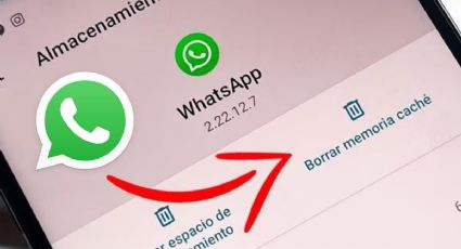 Así puedes LIBERAR espacio en WhatsApp con este botón secreto