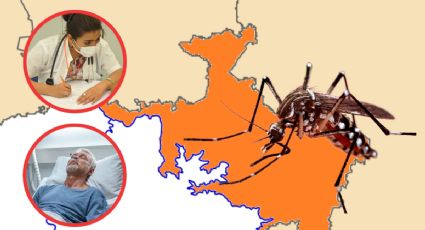 En estos cinco municipios de la Huasteca hay contagios de dengue; dos son graves