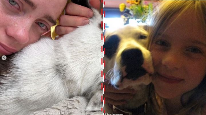 Billie Eilish llora la muerte de su perrita con conmovedoras fotos