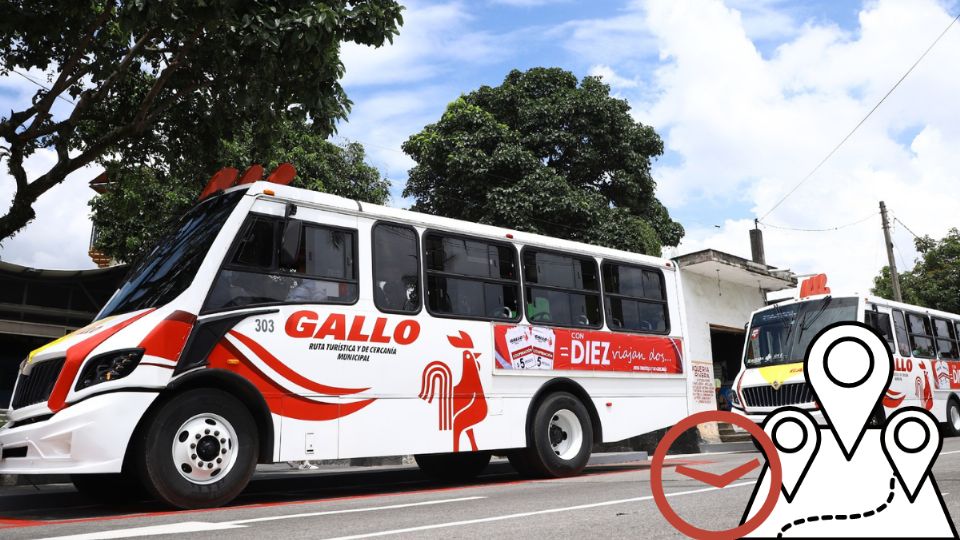 Horarios y rutas de transportes gallos
