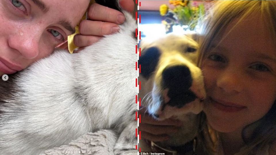 Billie Eilish Despide a su Querida Mascota Pepper con Emotivas Fotos