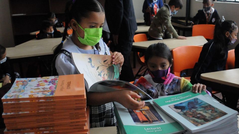 Libros de Texto de la SEP ponen en riesgo la educación básica en México, declaran expertas