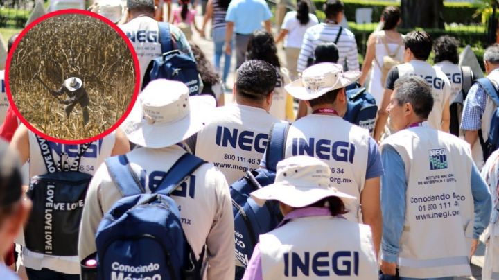 El día que el Inegi pagó derecho de piso al crimen organizado para realizar censo