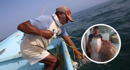 Capuran enorme pez cherna de más de 100 kilos en Catemaco