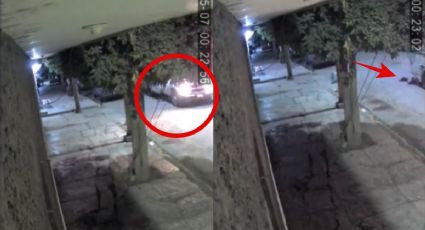 ¡Inhumano!: Camión de la CFE atropella a perro en Torreón; ni siquiera lo ayudo (VIDEO)