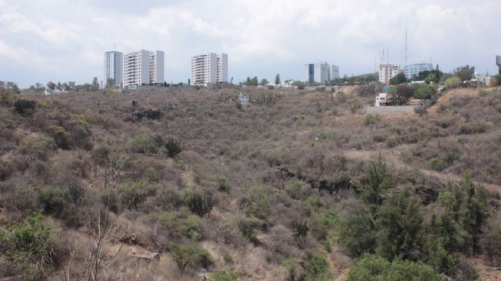 Cañada de Mariches: un bosque en medio de la ciudad