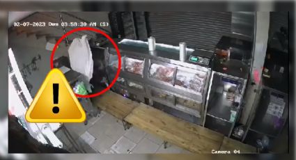 VIDEO: Así fue cómo un "fantasma" robó carnicería de Guanajuato