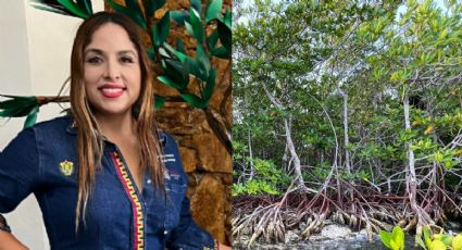 Talan 74 árboles de mangle en Pueblo Viejo: denuncia alcaldesa